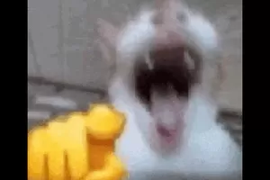 sprunki (HORROR MODE)